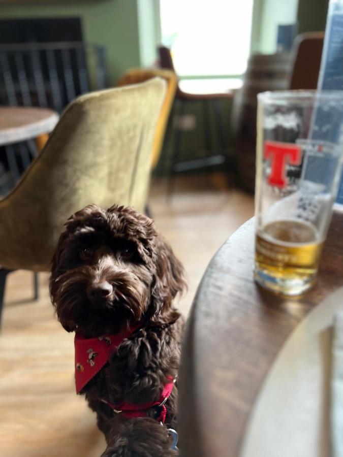 The Kenmuir Arms Hotel New Luce Eksteriør bilde